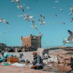 Essaouira day trip from Marrakech