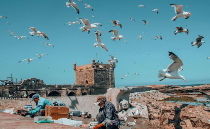 Essaouira day trip from Marrakech