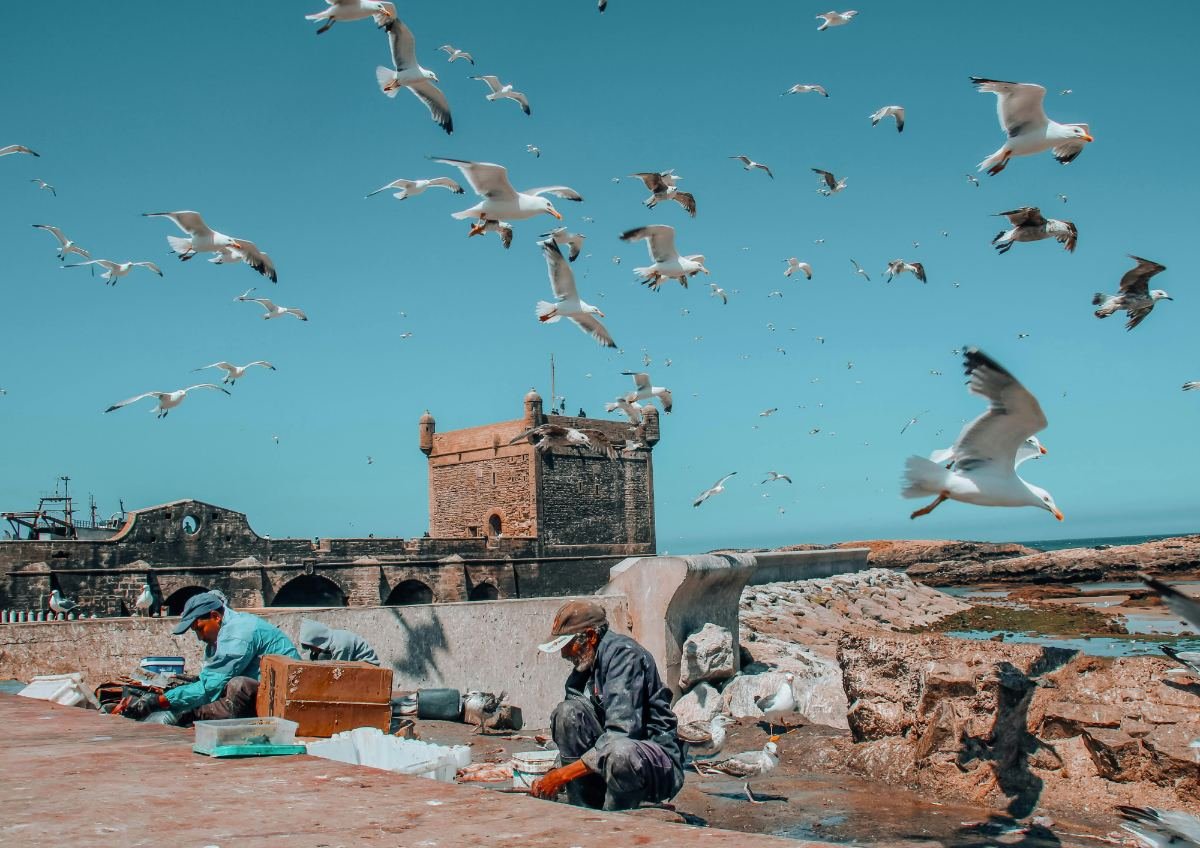 Essaouira day trip from Marrakech