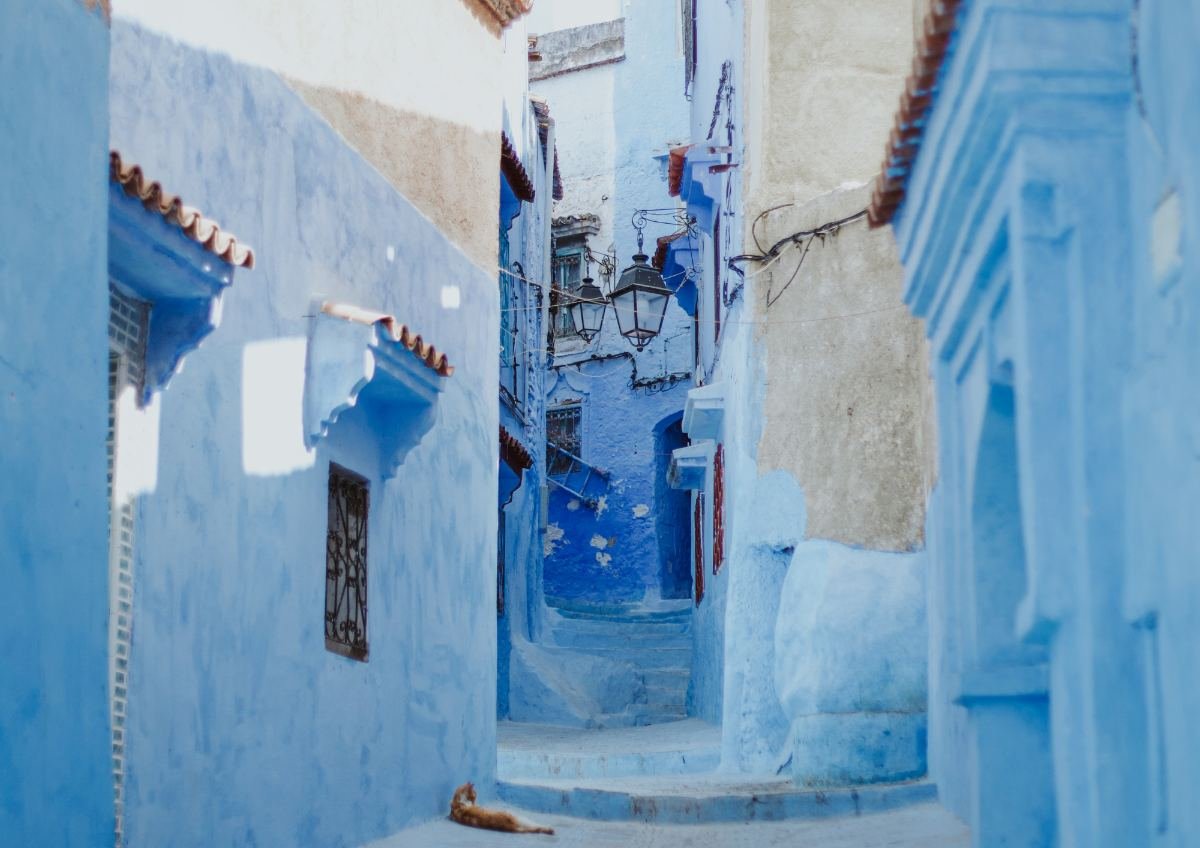 Marrakech city tour through the vibrant souks historic palaces and Djemaa el Fna square