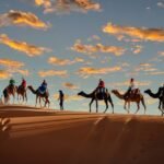 3 Days Desert Tour to Fez from Ouarzazate via Merzouga